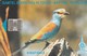 Gambia -  Bird - Kingfisher (CN: C511xxxxx) - Gambia