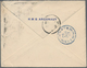 00317 China: 1903, Blue Bilingual "LIU KUNG TAO / WEI HAI WEI 20 JUN 03" On Reverse Of Small Cover Endorse - Other & Unclassified