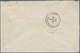00374 Japan - Besonderheiten: 1876, FRANCE Used ABROAD, 2 X 10 C Brown On Rose And 80 C Rose Cérès, Tied B - Altri & Non Classificati