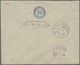 00375 Japan - Besonderheiten: 1916/1917, IMPERIAL JAPANESE SEA POST, 1s. Orange And 25s. Olive In Combinat - Altri & Non Classificati