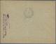 00414 Philippinen: 1898, 3 Cts. Violet And 2 Cts. Blue On Stamps Alfonso XII, Legend And Face Value Sectio - Filippijnen