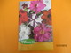 Catalogue/VILMORIN/ Graines De Fleurs Pour La Beauté De Votre Jardin/Printemps 1966     CAT231 - Garden