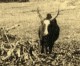 Vue Poétique De Madagascar Panorama Betail Vaches Manakara Ancienne Photo 1937 - Africa