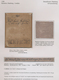 Delcampe - 00619 Alle Welt: 1590-1915, High-quality Three-volume Exhibition "gold" Collection "DISINFEKTIONSPOST" (mo - Disease