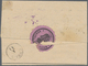 01732 Ungarn: 1876 (4.April), Superb And Fresh Printed Telegraph-Formular "TAVIRAT" Franked With 5 K Rose - Covers & Documents