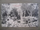 Tarjeta Postal Postcard - Uruguaya Uruguay Montevideo - Fuente Del Prado - 354 - Uruguay