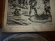 1882 JdV: Gravure ---> Colonisation Des USA; Les Voyages De La JUNON; Gravure -->Les Noces Tziganes En Bohême  ; Etc - 1850 - 1899