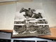 Horse Riding Meteor Fritz Thiedemann - Plongeon