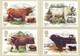 Regno Unito, Maximum 1984  Cows&amp;Bulls Buoi E Tori   5 Cards - Cartes-Maximum (CM)