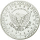 United States Of America, Médaille, Les Présidents Des Etats-Unis, Herbert - Other & Unclassified