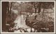 Endcliffe Woods, Sheffield, Yorkshire, C.1920 - RP Postcard - Sheffield