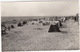 Notre-Dame-de-Monts  (Vendée) - La Plage  - (1956)  -  (France) - Sables D'Olonne