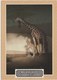 Giraffes, Milwaukee County Zoo, Unused Postcard [21418] - Giraffes