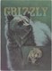 GRIZZLY, By Tia Wallace, Unused Postcard [21424] - Bears