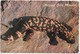 Arizona Gila Monster, Unused Postcard [21426] - Other & Unclassified