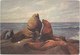 NORTHERN SEA-LION, Field Museum Of Natural History, Chicago, Illinois, Unused Postcard [21431] - Other & Unclassified