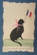 Cpa Patriotique Chat Noir Avec Drapeau Français En Tissu - A Qui Y Touche Gare La Griffe ! - Patriotiques