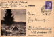 Postkarte Mit Bild: Im Isergebirge * Poststempel Greiffenberg 21. 6. 1944 - Poland