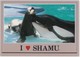 Shamu And Seamore, At Sea World, Unused Postcard [21444] - Other & Unclassified