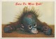 Orangutan Baby, Sure Do Miss Yah, Unused Postcard [21447] - Monkeys