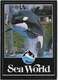 Shamu The Whale, At Sea World, Unused Postcard [21455] - Autres & Non Classés