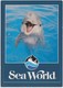 Dolphin At Sea World, Unused Postcard [21458] - Delphine