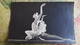 Swan Lake - Ballet  - Dancer - Artist Plisetskaya   - Old Soviet Postcard - Danse