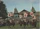 Marche-Concours National De Chevaux Saignelégier - Saignelégier