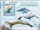 Comores MNH Dolphins Imperforated Sheetlet And SS - Dolphins