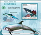 Comores MNH Dolphins Set Of 5 Deluxe Imperforated SSs - Dolphins