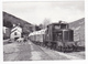 CPM VOIR DOS TRAIN 48 Vers Florac Au Rouve-Jalcreste Train De Bois Locotracteur CFD N°62 Le 22/04/1965 - Florac