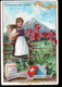 CHROMO LIEBIG , S 474, Fleurs Alpines, Zurich, Primevere Des Alpes - Liebig