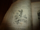 Delcampe - 1890 Le Petit Français Illustré : Les Mines D'or De Kimberley; Le Casoar à Casque ; Etc - 1850 - 1899