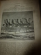 1890 Le Petit Français Illustré : L'autruche-monture;Un Américain Trav. La Manche à Nage De Boulogne à Folkestonne ; Etc - 1850 - 1899