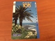 Front Coded Card -  Barcode Card Japan / Nippon - Palm And Beach -  Year 1985-1987 - Fine Used - Japan