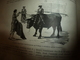 1890 Le Petit Français Illustré : Les Courses De Taureaux En Espagne; Zanzibar; L'ortie Nous Guérit Des Maux...etc - 1850 - 1899