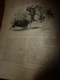 1890 Le Petit Français Illustré : Les Courses De Taureaux En Espagne; Zanzibar; L'ortie Nous Guérit Des Maux...etc - 1850 - 1899