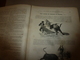 1890 Le Petit Français Illustré : Combat De Coqs; Les Courses De Taureaux En Espagne;Combat Araignée Contre Poisson ;etc - 1850 - 1899