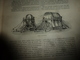 Delcampe - 1890 Le Petit Français Illustré :Les Montagnes Russes Artificielles;Comment Faire Des FAUSSES FOURRURES Comme Des Vraies - 1850 - 1899