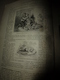 Delcampe - 1890 Le Petit Français Illustré:Ecole Diderot; Les Jeux De PLAIN-AIR; Le Lièvre D'Amérique; Pompéï ;etc - 1850 - 1899