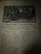 Delcampe - 1890 Le Petit Français Illustré:Sydney; Le Hêtre,bois Aux Multiples Usages ;Le Café Protège De Certaines Maladies;etc - 1850 - 1899