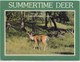 Summertime Deer, Hello From Couderay, Wisconsin, Used Postcard [21484] - Autres & Non Classés