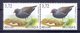 BELGIE * Buzin * Nr 3212 * Postfris Xx * FLUOR  PAPIER - 1985-.. Oiseaux (Buzin)