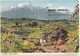 Spain, Espana, Tenerife, Canary Islands, 1978 Used Postcard [21525] - Tenerife