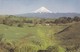 Postcard Mt Egmont New Plymouth New Zealand My Ref  B22759 - New Zealand