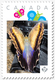 BUTTERFLY On Photo Camera = Personalized Picture Postage Stamp, MNH Canada 2018 [p18-07s14] - Papillons