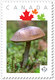 Brown MUSHROOM = Personalized Picture Postage Stamp, MNH Canada 2018 [p18-07s22] - Mushrooms