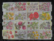 Delcampe - [12 SCANS] LOT D'environ 30 DECOUPIS SCRAPS MLP Sheet England Decoupage Cardmaking Reliefs Glanzbilder Scrapbooking - Scrapbooking