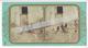 FRANCE COQ ET POULES Circa 1855 PHOTO STEREO /FREE SHIPPING REGISTERED - Fotos Estereoscópicas