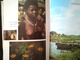 Delcampe - CONGO DES ANNÉES 1970 ZAÏRE LIVRE "SAFARI AU CONGO"  Tourisme Histoire ANNÉE 1971 Colonie Belgique - Histoire